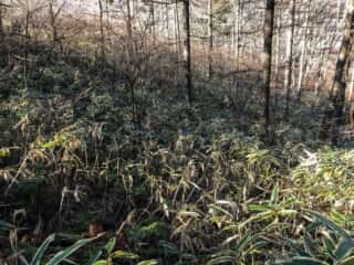 榛名山
