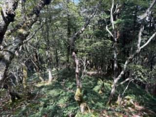 白髪山・平和丸