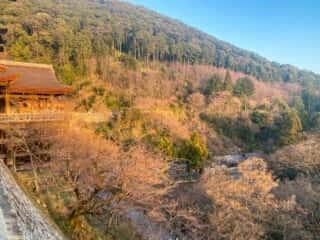 清水寺からの景色