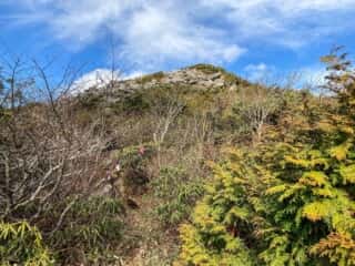 五葉山 黒岩への山道
