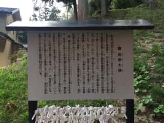 岩面大佛 由緒