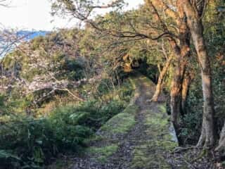 四国の道 竹ヶ島