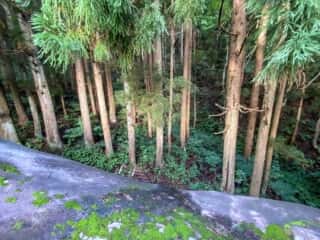 洞雲寺の大石を上から見る