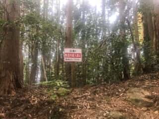 筑波山登山道