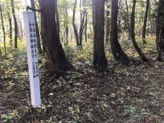 七高山登山道