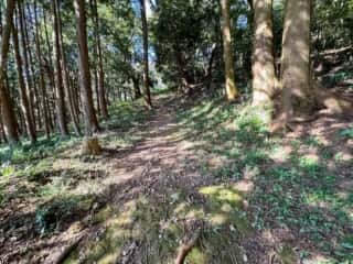 四国八十八ヶ所霊場 第18番札所 恩山寺