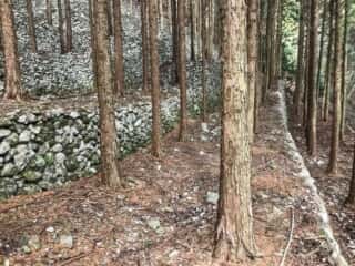 若杉山遺跡の積石段