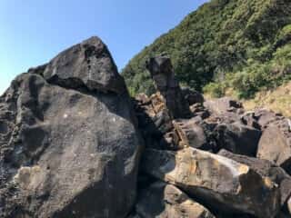 海岸の岩場