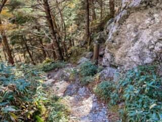 剣山登山道