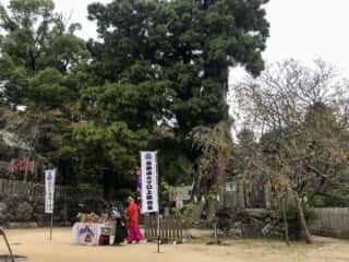 筑波山神社 境内