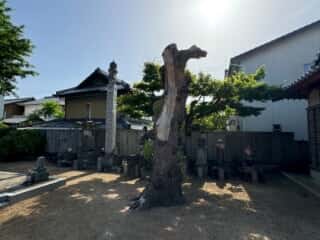 四国八十八ヶ所霊場 第87番札所 長尾寺
