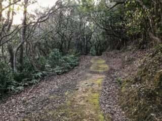 四国の道 竹ヶ島