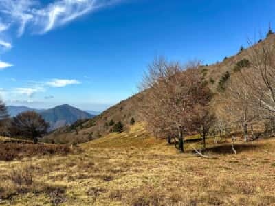 寒峰・烏帽子山