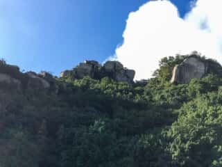 頂上周辺の岩石