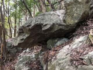 若杉山遺跡の巨石群