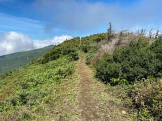 屏風岳・刈田岳 登山道