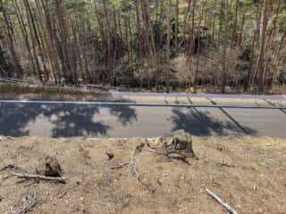 石投山 黒森山 登山道