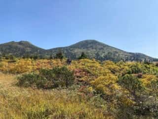 八甲田山 登山道