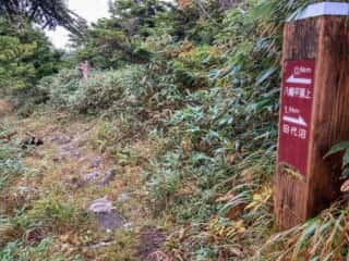 八幡平登山道