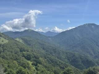 塔丸