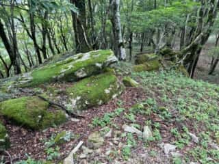 矢筈山・石堂山