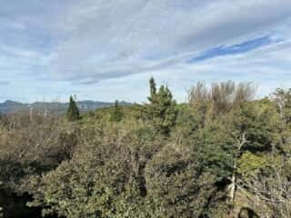 旭ヶ丸・大川原高原