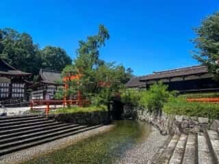 下鴨神社　御手洗池