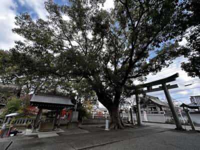 大御和神社