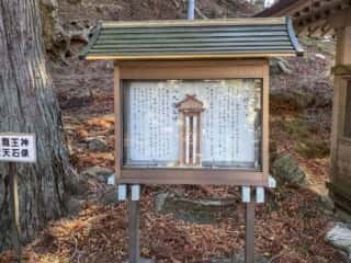 黄金山神社　八大龍王神　辨財天像