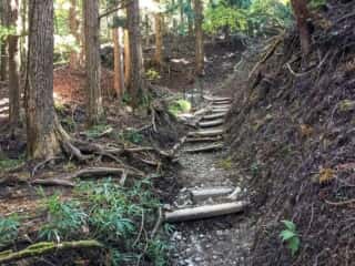 山上ヶ岳（大峯山）登山道