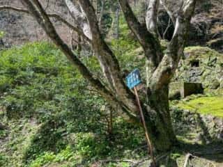 四国八十八ヶ所霊場 第42番札所 仏木寺〜第43番札所 明石寺