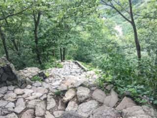 砂防新道 登山道