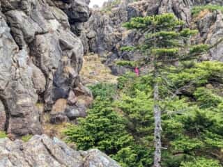 中岳登山道