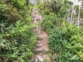摩周岳登山道