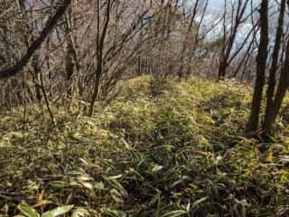 榛名山