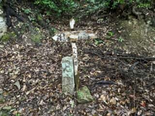 四国八十八ヶ所霊場 第11番札所 藤井寺〜第12番札所 焼山寺