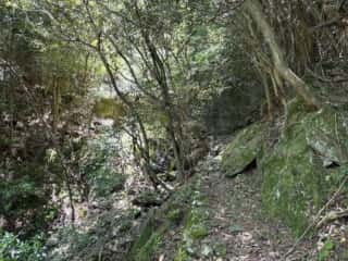 四国八十八ヶ所霊場 第87番札所 長尾寺〜第88番札所 大窪寺
