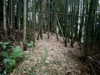 四国八十八ヶ所霊場 第30番札所 善楽寺～第31番札所 竹林寺（五台山）