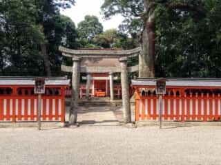 宇佐神宮　八坂神社