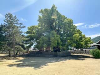 四国八十八ヶ所霊場 第75番札所 善通寺