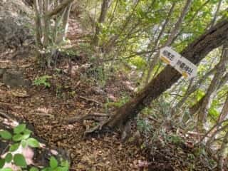 妙義山 登山道