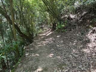 四国八十八ヶ所霊場 第87番札所 長尾寺〜第88番札所 大窪寺