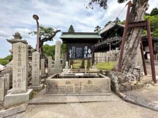 東大寺