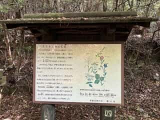四国八十八ヶ所 80番札所 国分寺〜81番札所 白峯寺
