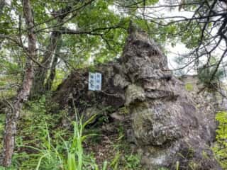 一年峰山道途中にある「縁結岩」