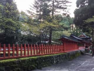 霧島神宮