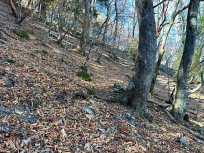 一ノ森・槍戸山