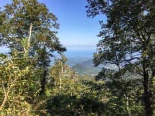 大山登山道