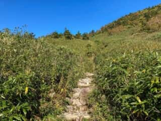 八甲田山 登山道