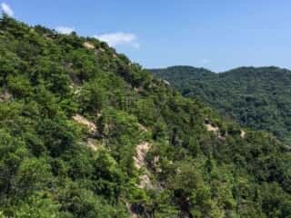小豆島の景色